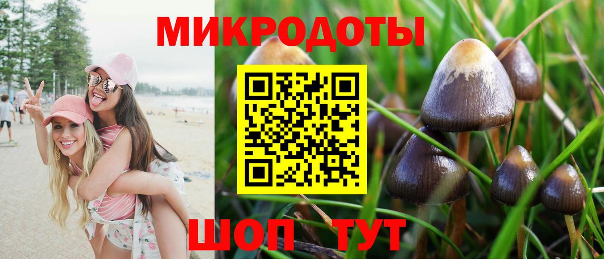 Псилоцибиновые грибы Psilocybine cubensis  Вход с VPN  Галлюциногенные грибы мицелий  Лабытнанги 